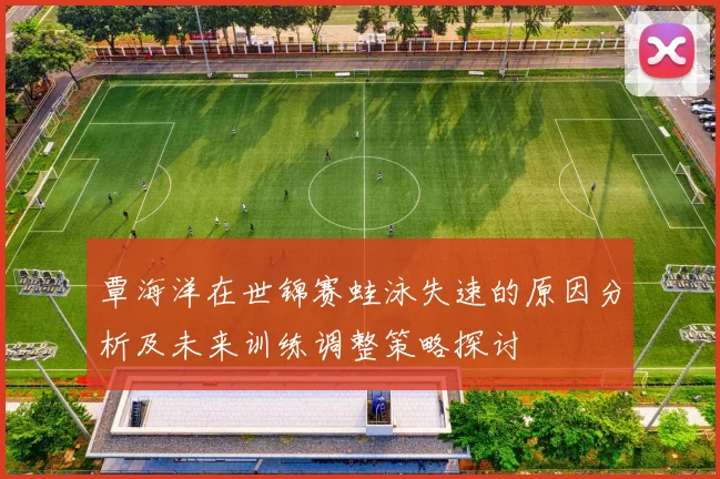 覃海洋在世锦赛蛙泳失速的原因分析及未来训练调整策略探讨