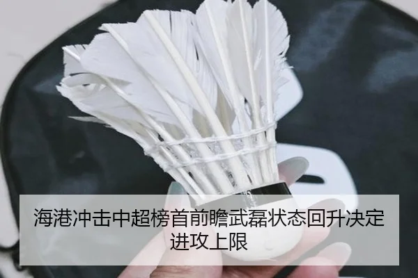 海港冲击中超榜首前瞻武磊状态回升决定进攻上限