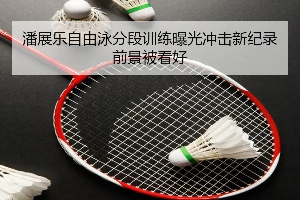 潘展乐自由泳分段训练曝光冲击新纪录前景被看好